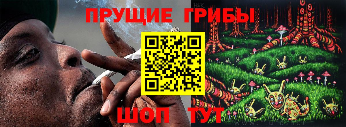 Псилоцибиновые грибы мицелий  Вход с VPN  Сланцы 