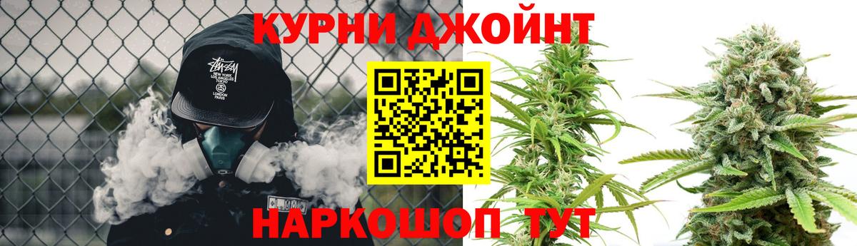Конопля планчик Сланцы